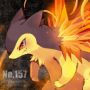 typhlosion2104