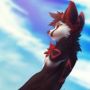 Darzfox