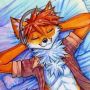 Matyfox