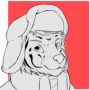 Hoffy