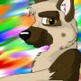 SilverPaws