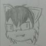 Darkker the fox br