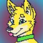 Dingo