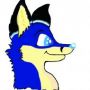 Nick B.