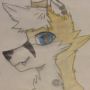 Kiro Fox