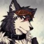 Ryan Dingo