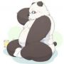 Yukine The Panda Bear