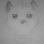 Furrydraw