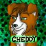 Ched