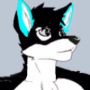 Kazuto Wolf
