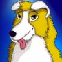 Aurum Collie