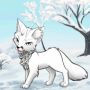 snow storm