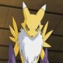 Renamon Mexicana