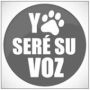 Jorge Adel