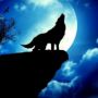 The Lone Wolf