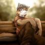 The Last Cat
